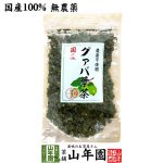 グァバ葉茶 リーフ 無農薬