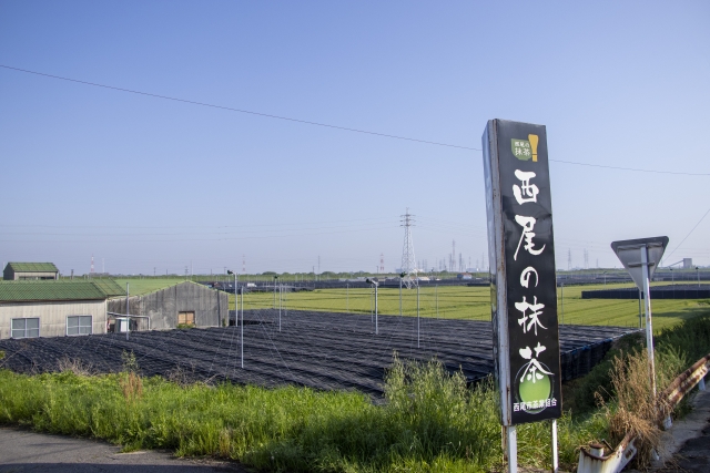 西尾 抹茶の日