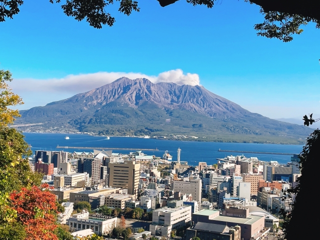 鹿児島県 霧島茶